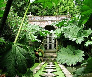 Bassin dans le jardin de Kerdalo