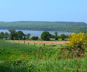 Autre vue du lac de Guerlédan