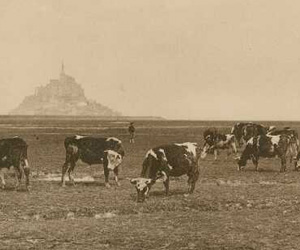 Le Mont-Saint-Michel dans les années 1900