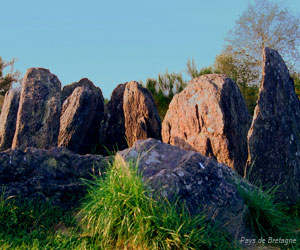 Mégalithes en forêt de Brocéliande