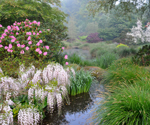 Parc botanique de Haute-Bretagne