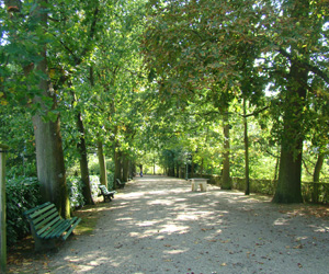 Allée arborée dans le parc du Thabor