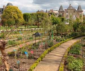 Jardin botanique au parc du Thabor